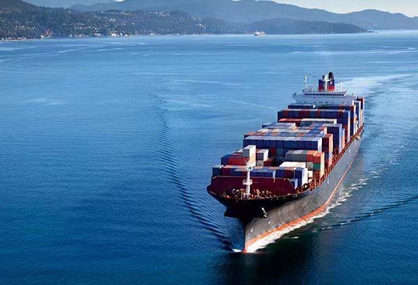 The Ecosystem of Apple iPhone